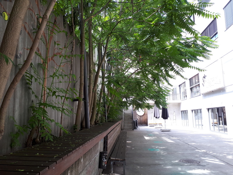 schmaler Hof in der Sonne, an der linken Seite Bäume